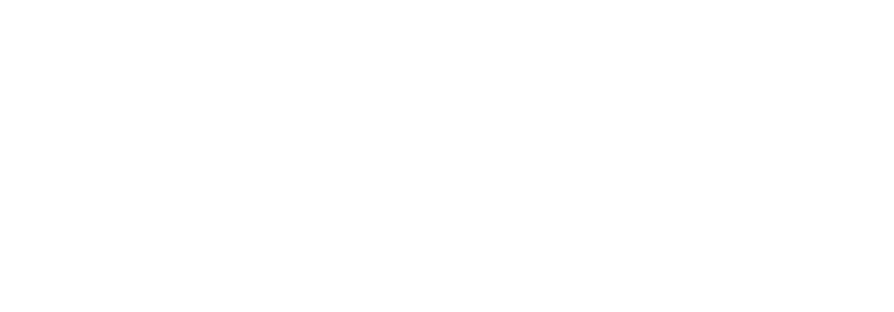 Flinders Ranges Ediacara Foundation
