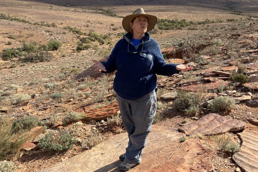 Mary Droser explaining about the fossil site