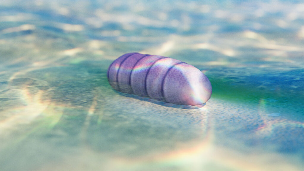 3D Render