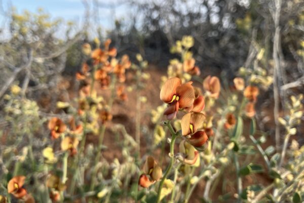 576956328_807143505289231_6279826624752958191_n