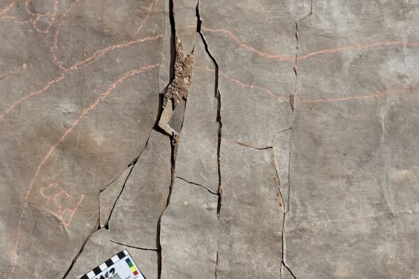 571201407_796656309671284_8978455703483637059_n