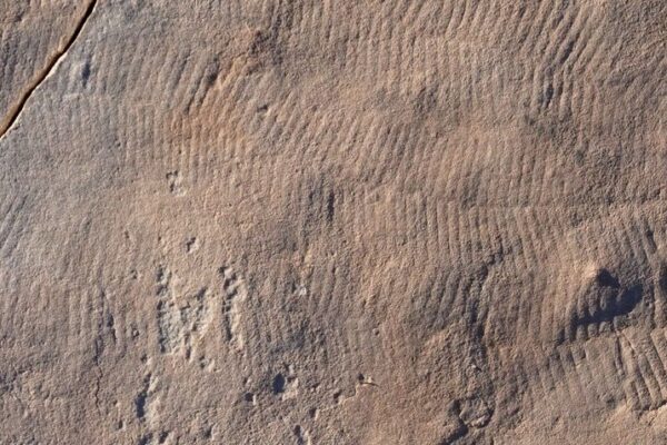 571209110_796656149671300_4122185716713374838_n