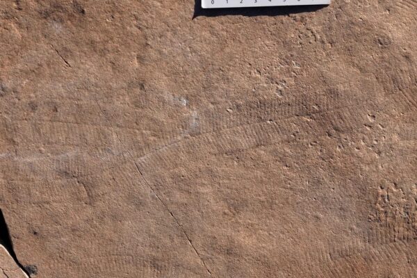 571244414_796656286337953_5137408522668035787_n